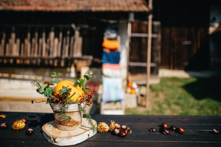 Podzimní svatba venku – 5 tipů, které fakt oceníte